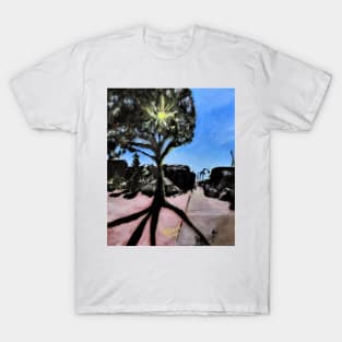 Sunny Day For Erika T-Shirt